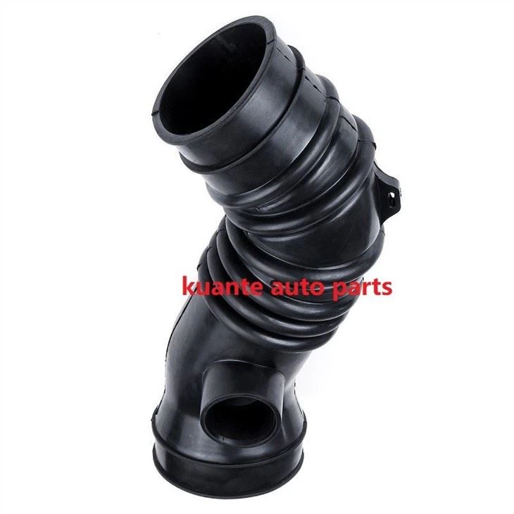intake hose 178810C010